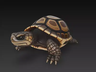 Turtle Realistic 3D Model - Low Poly Realistic Low-poly 3D model