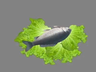 Cartoon fish and vegetable Low-poly 3D model