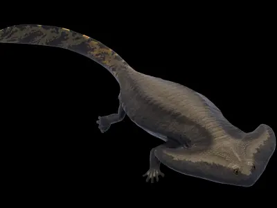 Diplocaulus Asset Pack Low-poly 3D model