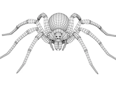 Wolf Spider Low-poly 3D model