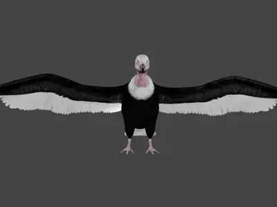 Vulture low poly fully rigged 1 Low-poly 3D model