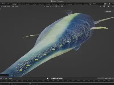 Tuna Fish Low-poly 3D model