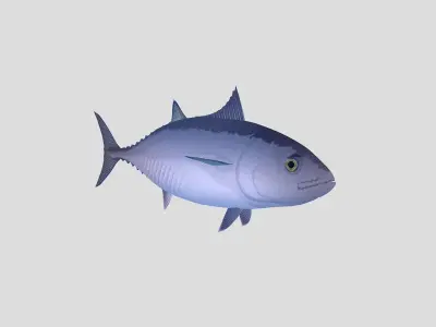Fish Collection 04 Low-poly 3D model