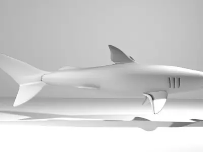 Shark - Hammerhead 3D model