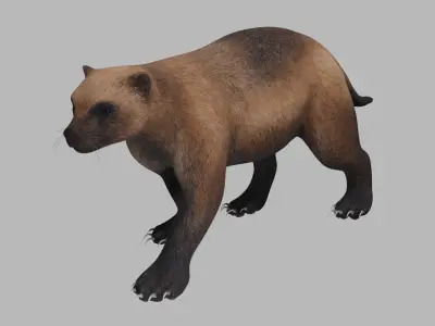 Wolverine 3D model