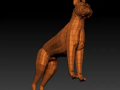 3D BOXER DOG Low-poly 3D model