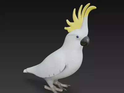 Cockatoo Parrot 3D Model Basic - Low Poly Simple Low-poly 3D model