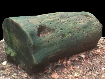 3D sawn of tree part model Low-poly 3D model