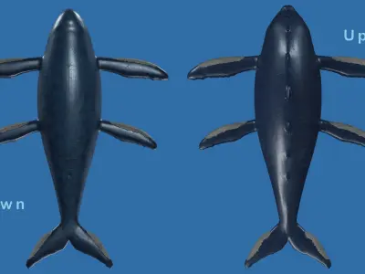 Mutant Sea Monster Low-poly 3D model