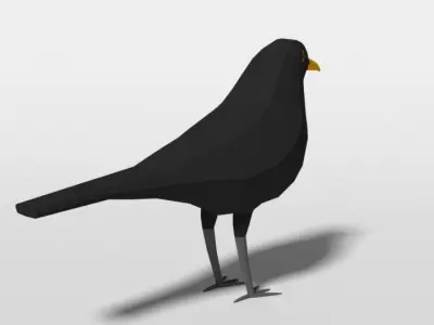 Low Poly Cartoon Blackbird Low-poly 3D model