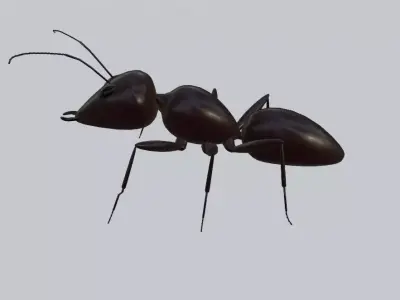 Ant - Formiga Low-poly 3D model