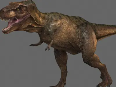 Tyrannosaurus rex -maya 3D model
