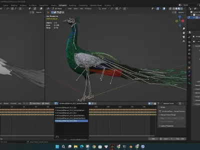 Peacock V4E 3D model