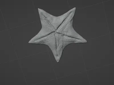 Starfish rusty star in sky Low-poly 3D model