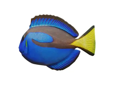 blue tang Low-poly 3D model