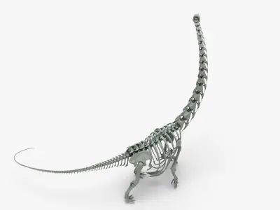 Argentinosaurus Rigged Skeleton Low-poly 3D model