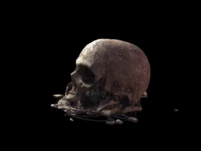 Broken Skull with Spider webs 8 3D model