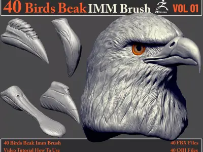 40 Birds Beak IMM Brush - Video How To Use 3D model