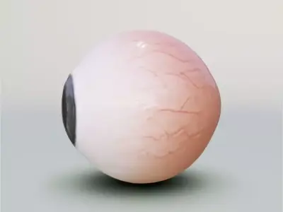 3D Eye 3D model