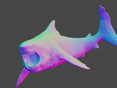 Great White Shark - 3D Model 3D model