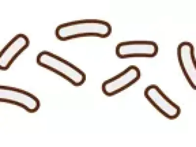 TwindBricks3D - 60452 Donut Truck 3D print model