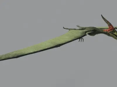 Pterodon dinosaur flying in sky 3D model