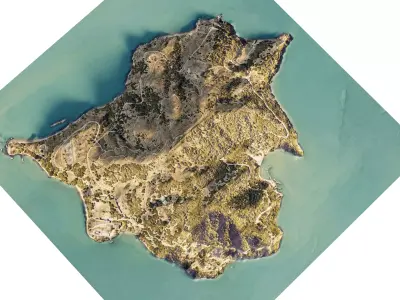 Angel Island terrain 3d model 3D model