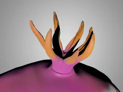Sea Slug - Nudibranch 3D model