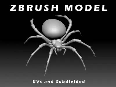 Garden Spider Low-poly 3D model