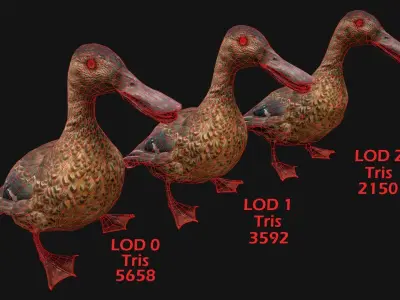 Duck Wild Bird Low-poly 3D model