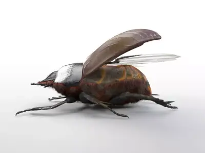 Dung Bettle insect Low-poly 3D model