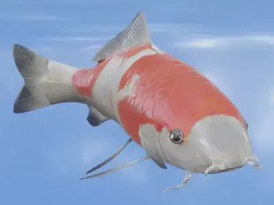Koi Fish Lowpoly Animated Rigged Low-poly 3D model
