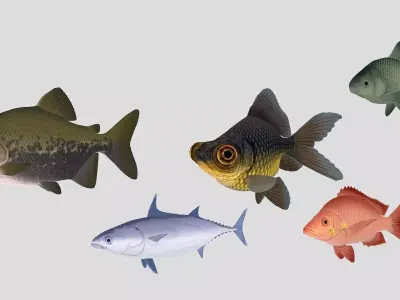  Fish Collection 02 Low-poly 3D model