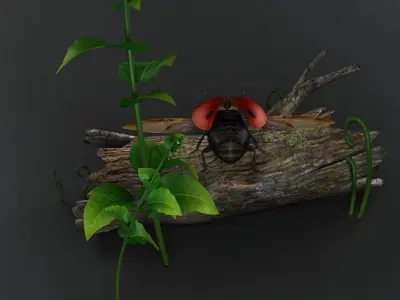 NSECTS ladybugs lady flowers beetles 3D model