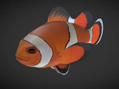  Clown Fish Low-poly 3D model
