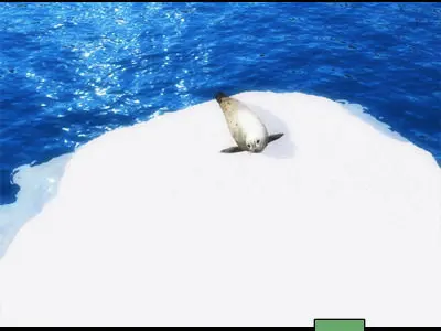 9 Seals 9 Arctic Bay 3D model