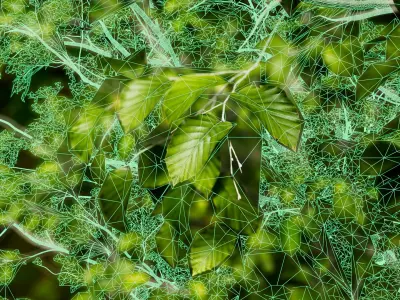 European Beech 07 3D Scanned Animated 3D model