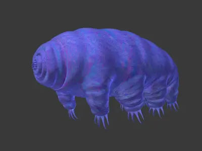 Tardigrade - Microscopic Water Bear - Moss Piglet Low-poly 3D model
