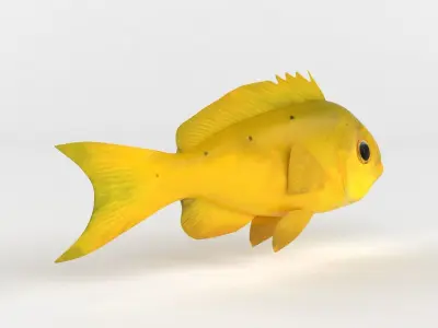 Creole Fish 3D model