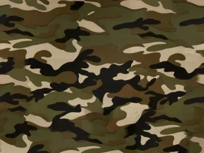  5 Pockets Camo Pants 3D model