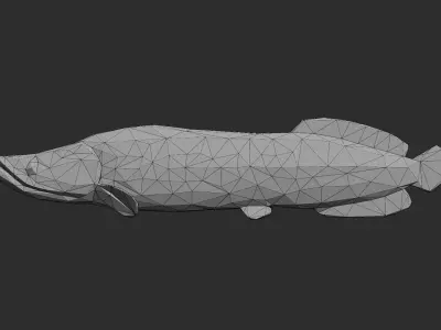 Low Poly Arapaima Low-poly 3D model
