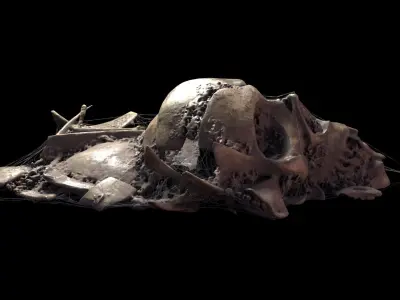 Broken Skull with Spider webs 1 3D model