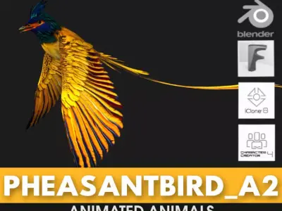 PheasantBird A2 3D model