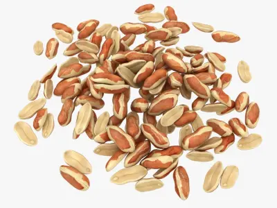 Peanut with Peel Pile 3D model