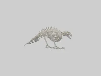 Eagle Talon Skeleton model Low-poly 3D model