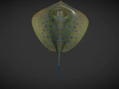 Ray fish Low-poly 3D model