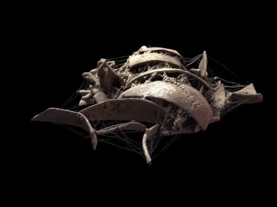 Broken Skull with Spider webs 2 3D model