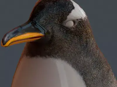 Penguin Gentoo - Antartic Low-poly 3D model