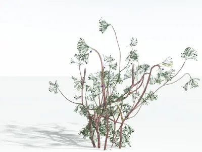 EVERYPlant Baiera LowPoly 3 --14 Models-- Low-poly 3D model