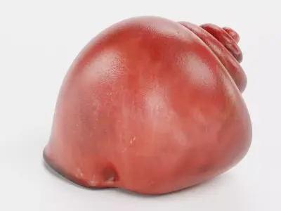 -Snail Shell- Low-poly 3D model